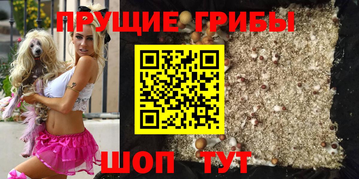 Галлюциногенные грибы мухоморы Пугачёв
